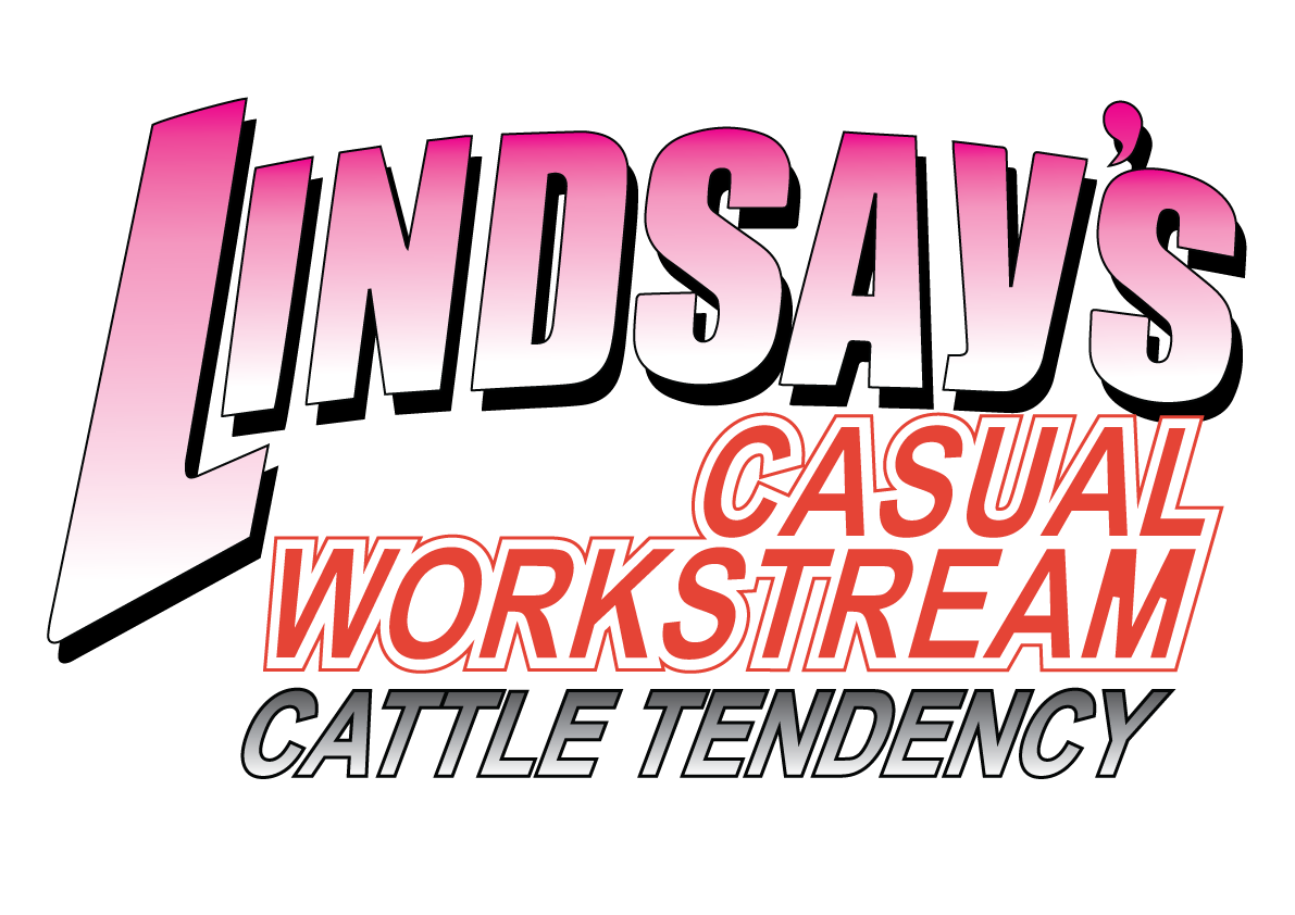 Lindsay's-Casual-Workstream.png